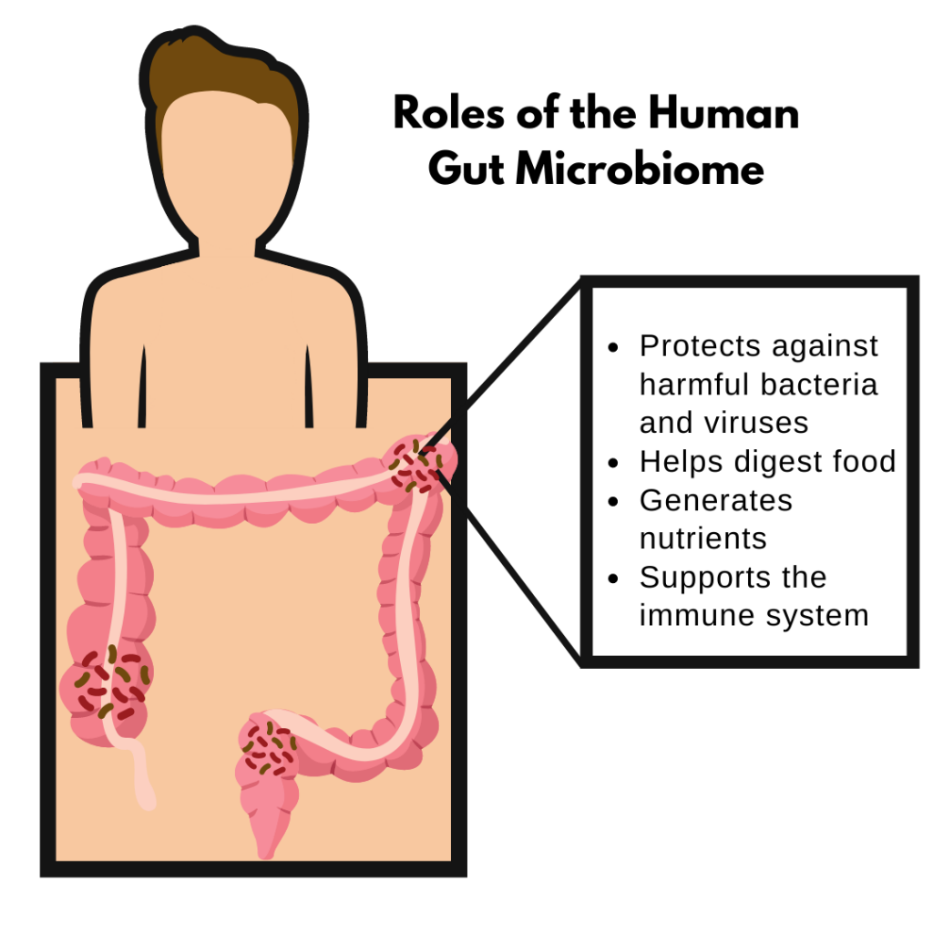 Helping Your Child Develop a Healthy Microbiome National Center for